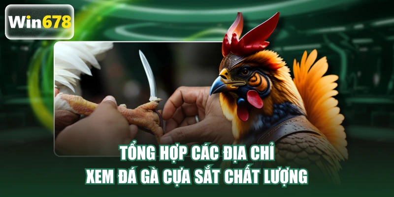 Tổng hợp các địa chỉ xem đá gà cựa sắt chất lượng