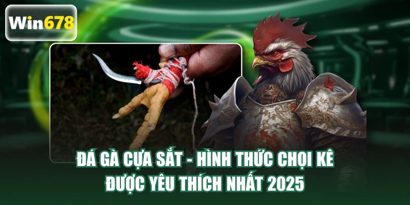 đá gà cựa sắt