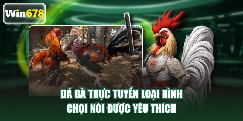 Đá gà trực tuyến loại hình chọi nòi được yêu thích