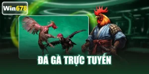 đá gà trực tuyến