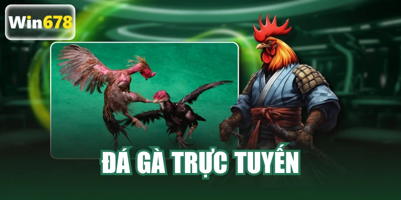 đá gà trực tuyến