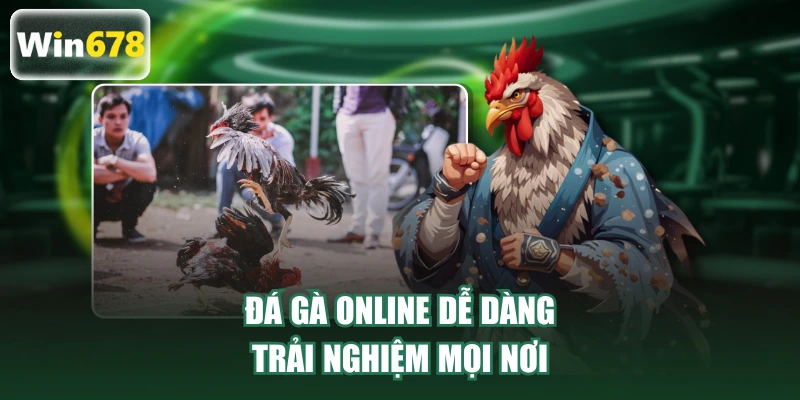 Đá gà online dễ dàng trải nghiệm mọi nơi