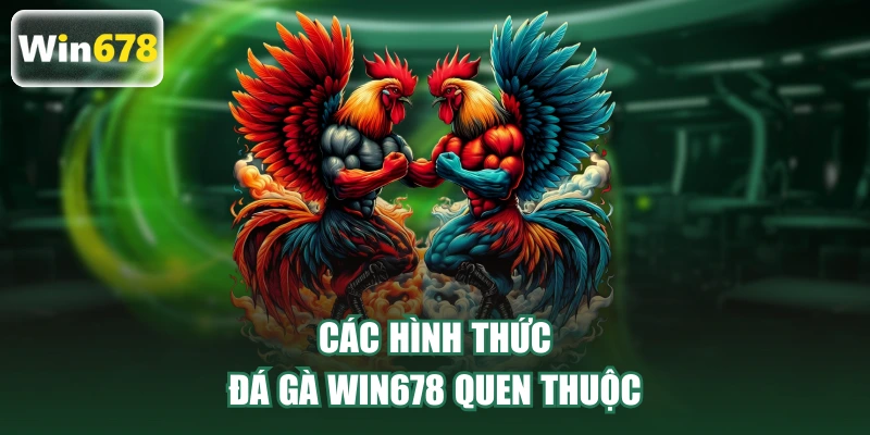 Các hình thức đá gà WIN678 quen thuộc