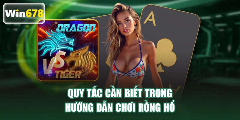 Quy tắc cần biết trong hướng dẫn chơi Rồng Hổ
