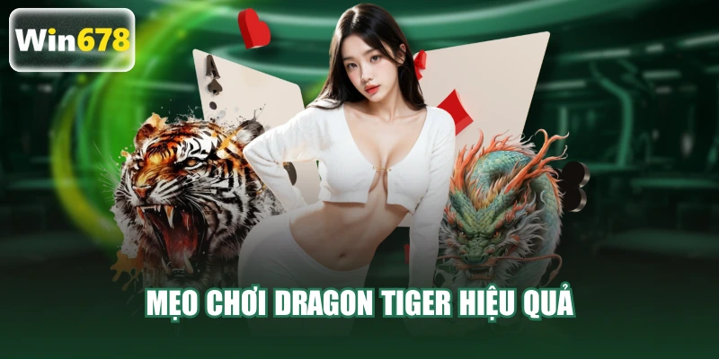 Mẹo chơi Dragon Tiger hiệu quả