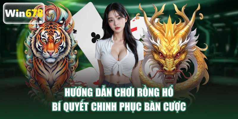 hướng dẫn chơi rồng hổ