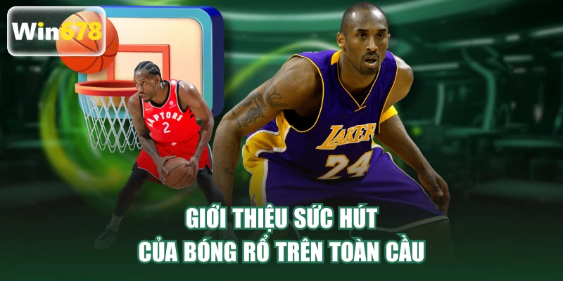 Giới thiệu sức hút của bóng rổ trên toàn cầu